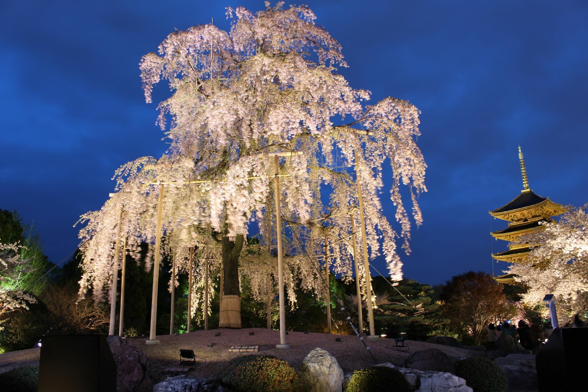 Stay Sakura Kyoto Nijo Seasons Buitenkant foto